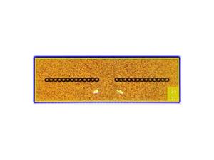 850nm VCSEL 360mW